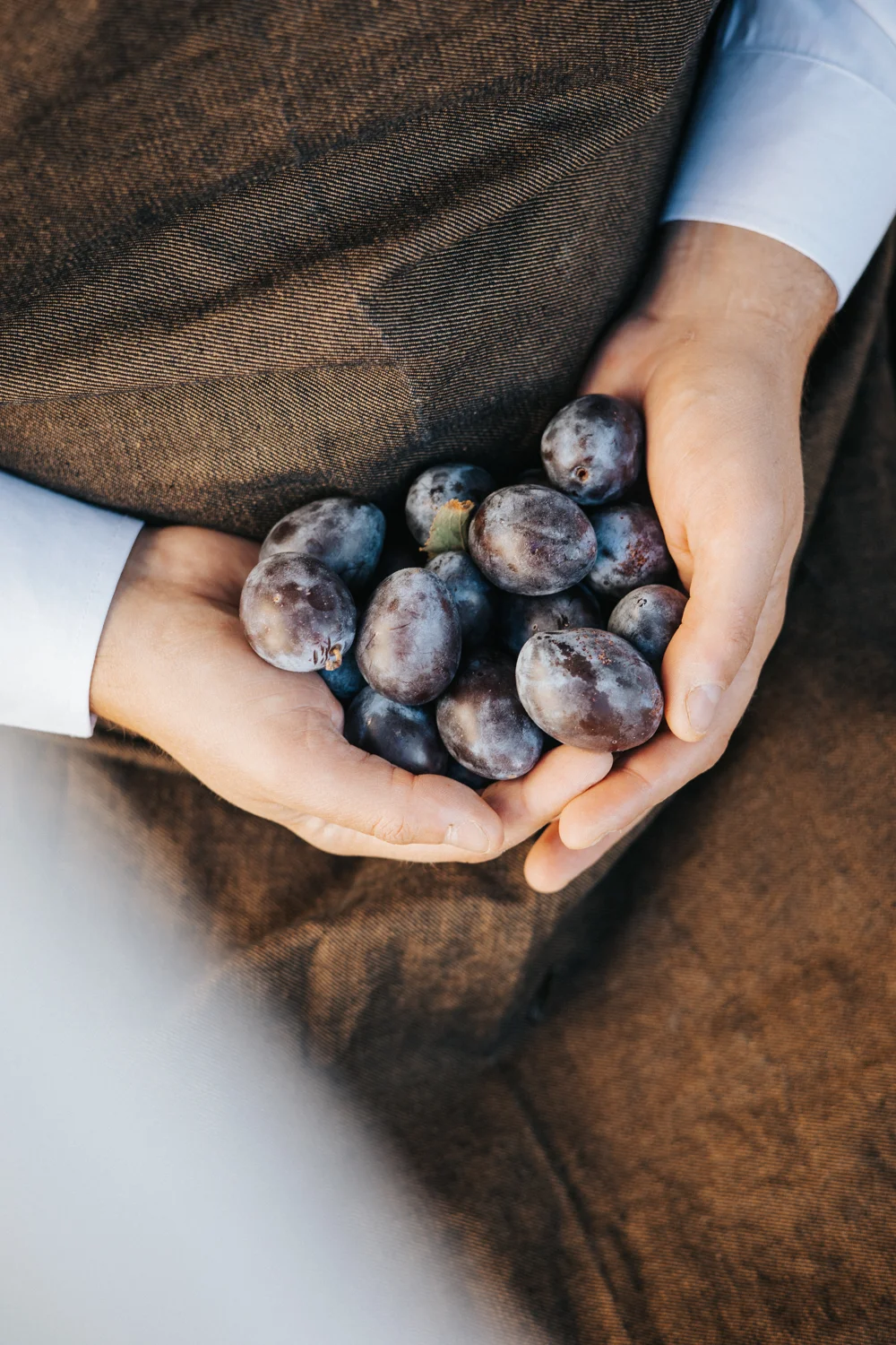 Des produits de saison, choisis avec soin