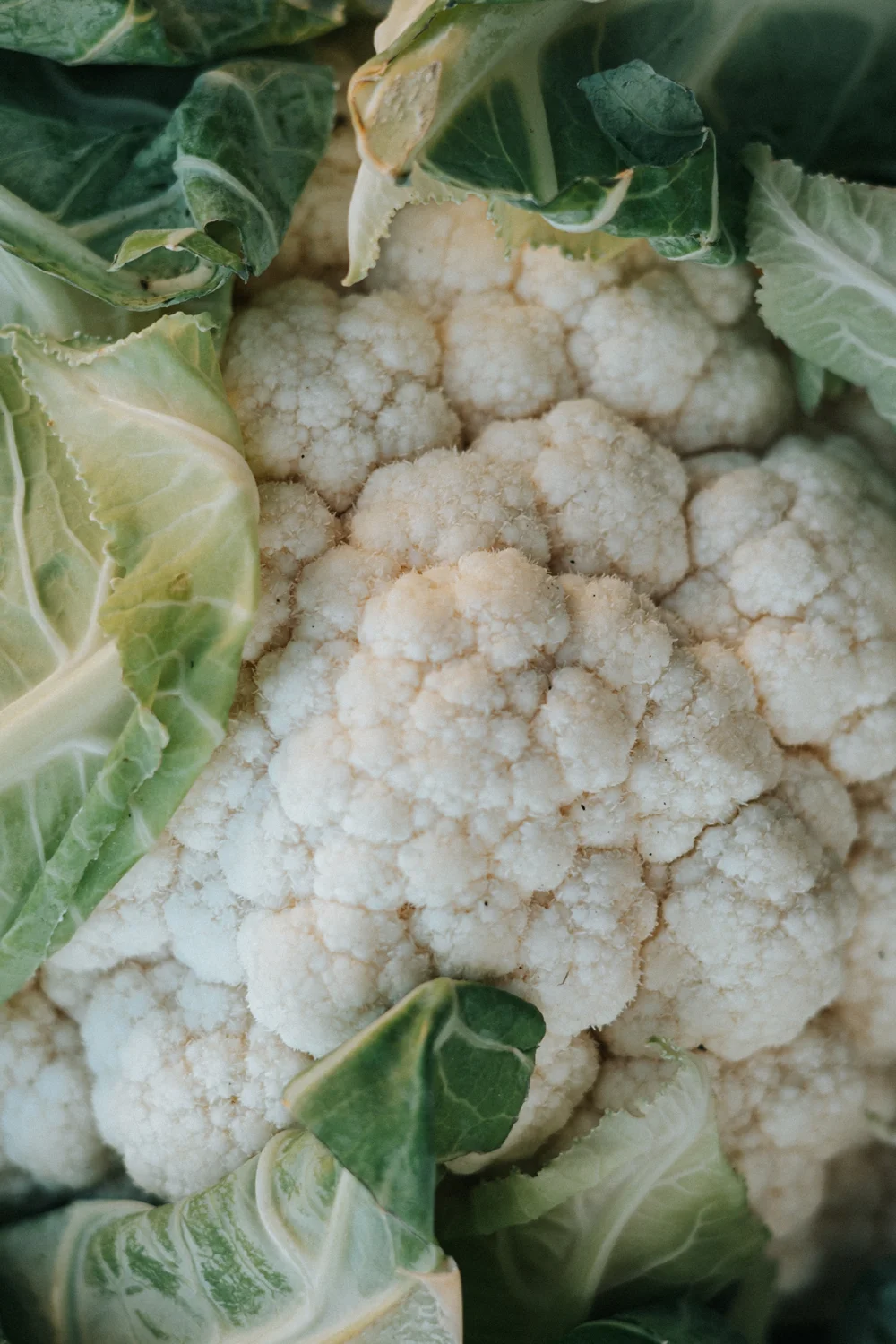 Des légumes frais